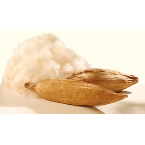 Buy semal hot sale cotton pillow